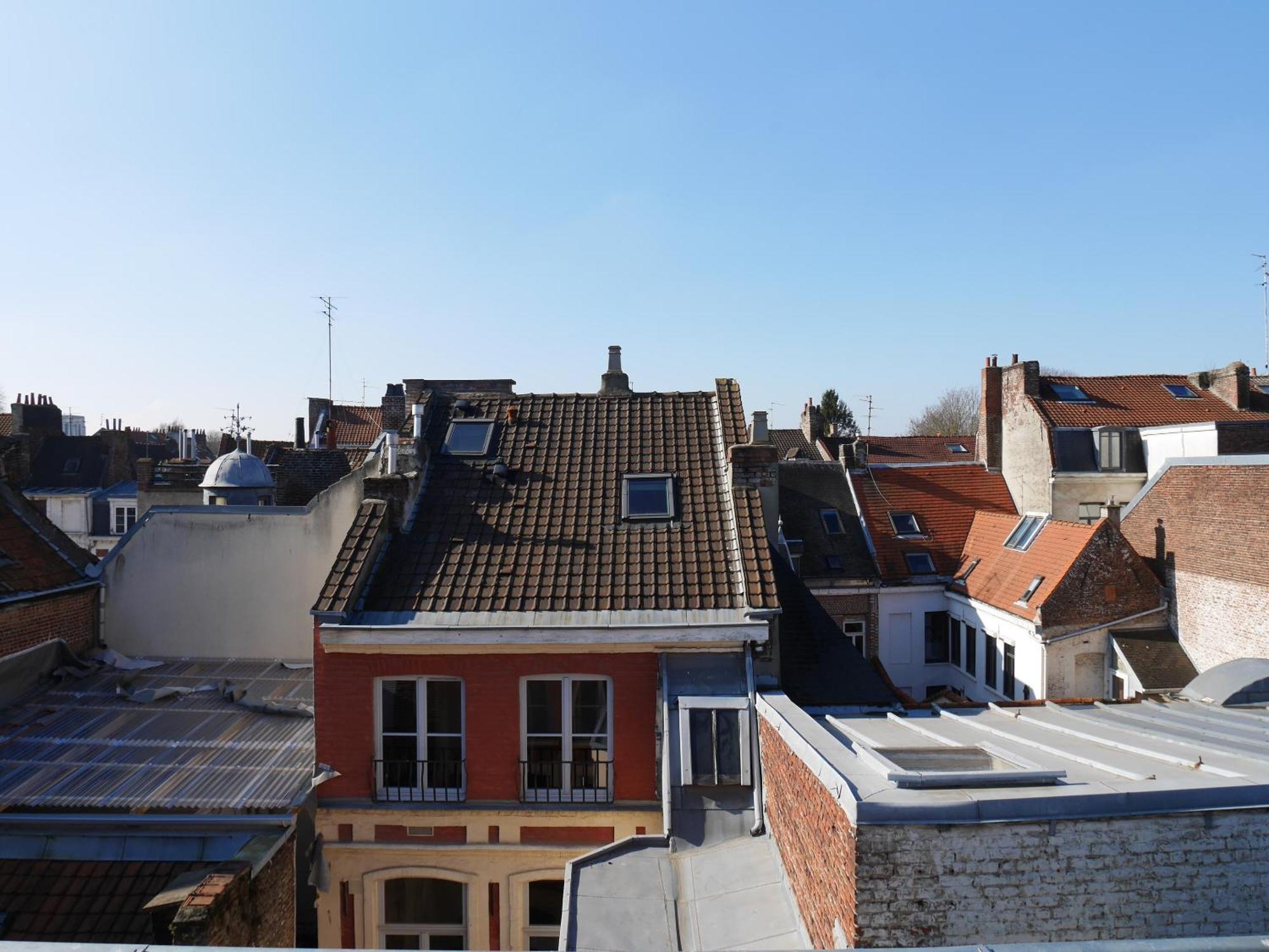 Au Chat Qui Dort Lille - Archives 3 Eksteriør bilde